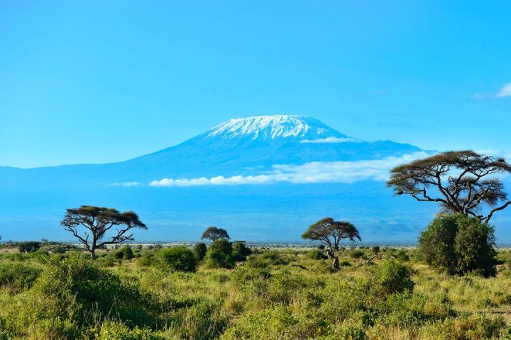 Mt Kilimanjaro (3)