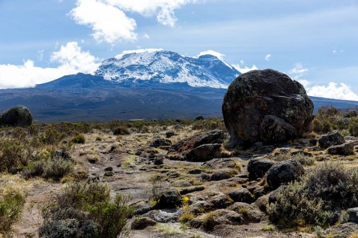 Mt Kilimanjaro (6)