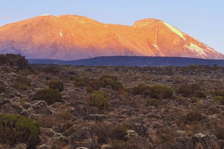 kilimanjaro